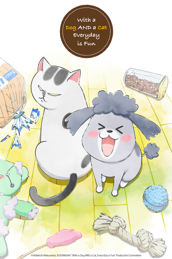 with a dog and a cat everyday is fun with a dog and a cat everyday is fun